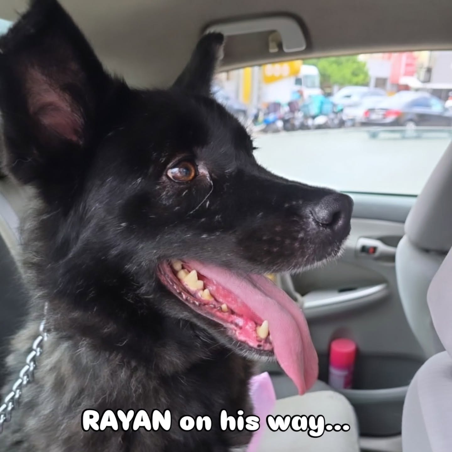 Rayan